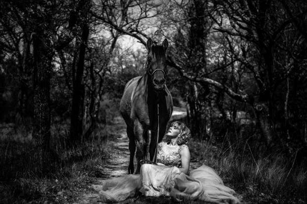 Nuage Création photographe animalier saint maximin la sainte baume