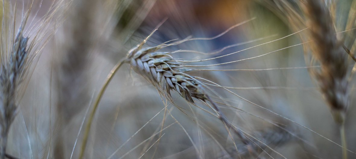 Nuage Création photographe aix en provence