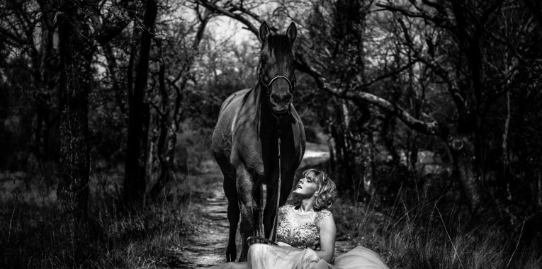 Nuage Création photographe animaux saint maximin