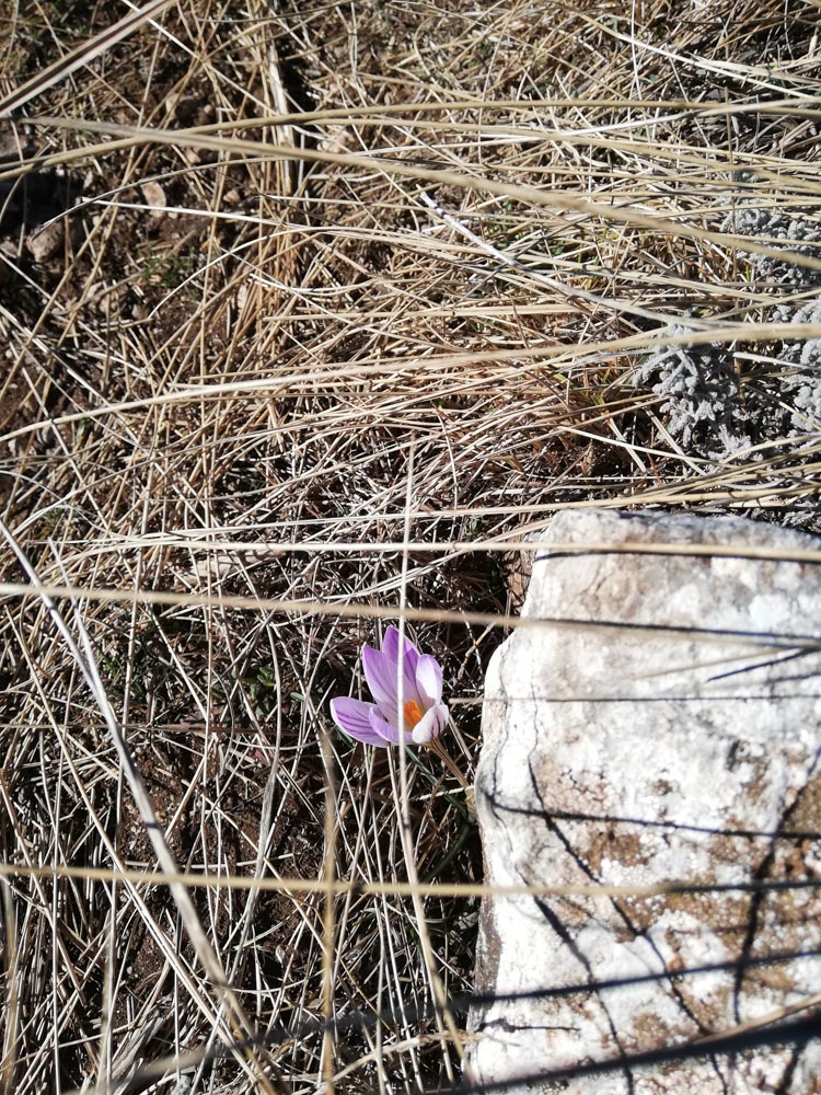 Nuage Création photographe sport aix en provence