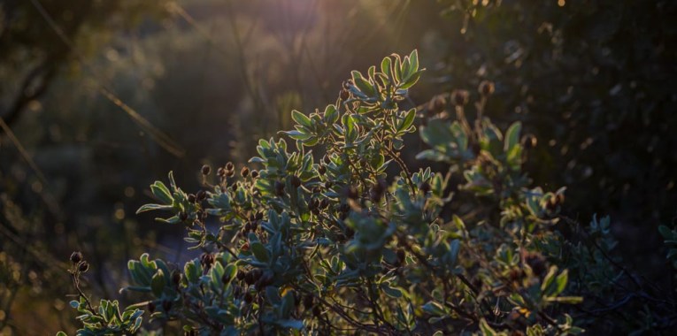 Nuage Création photographe nature saint maximin