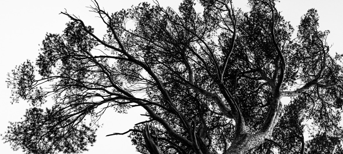 Nuage Creation photographe Aix en Provence