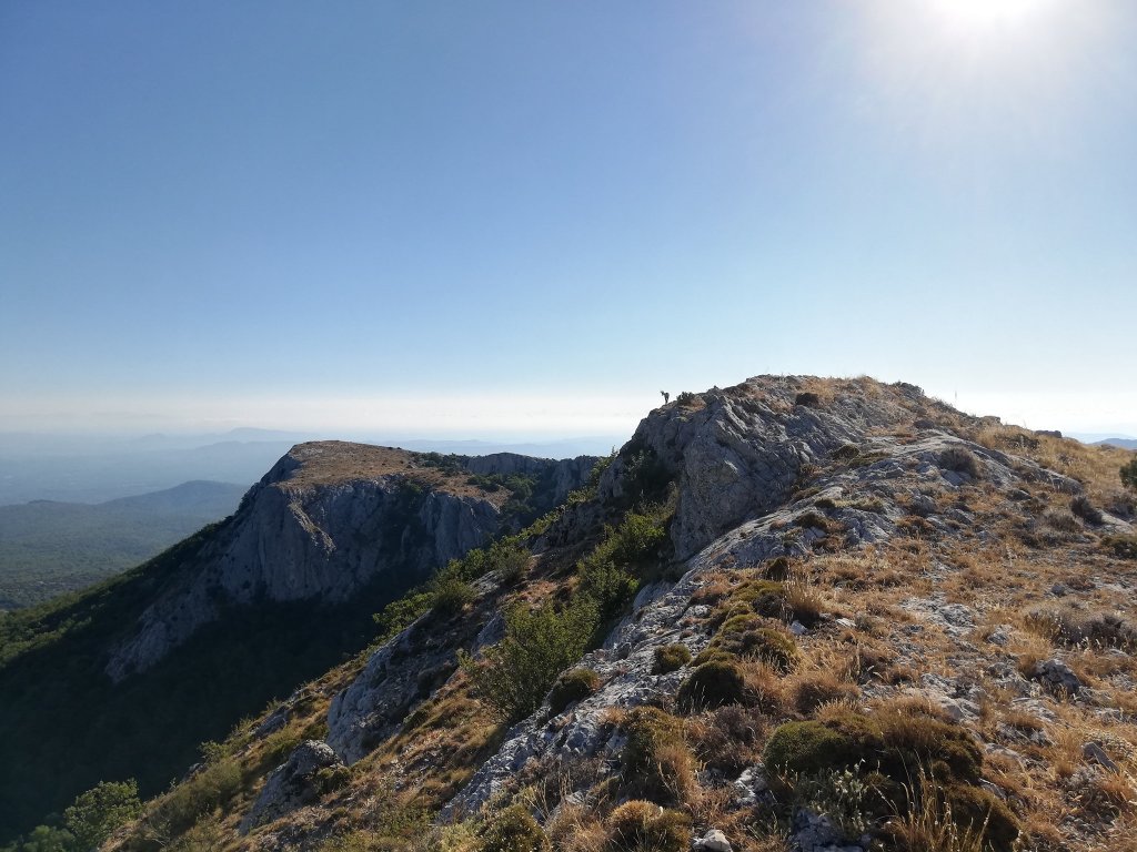 Nuage Creation saint-baume