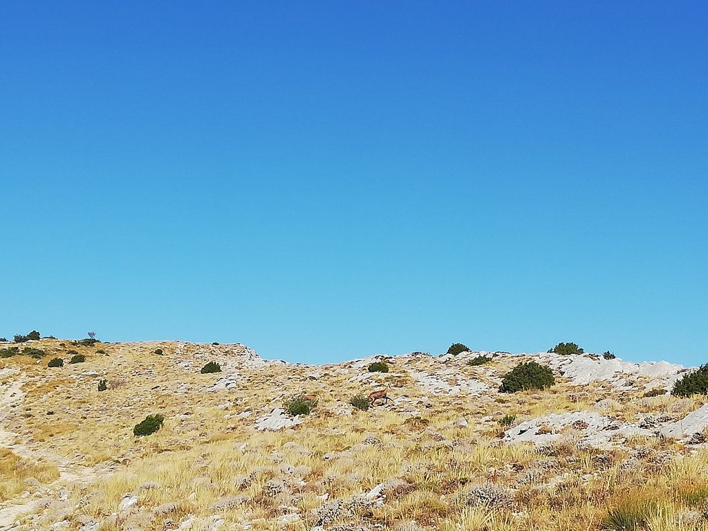 Nuage Creation saint-baume