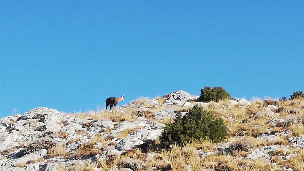 Nuage Creation saint-baume