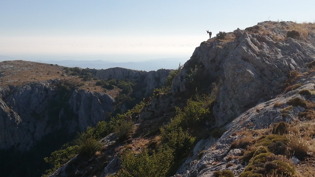 Nuage Creation saint-baume