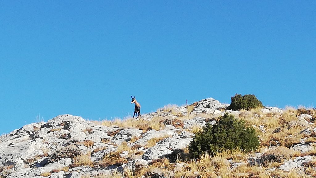 Nuage Creation saint-baume