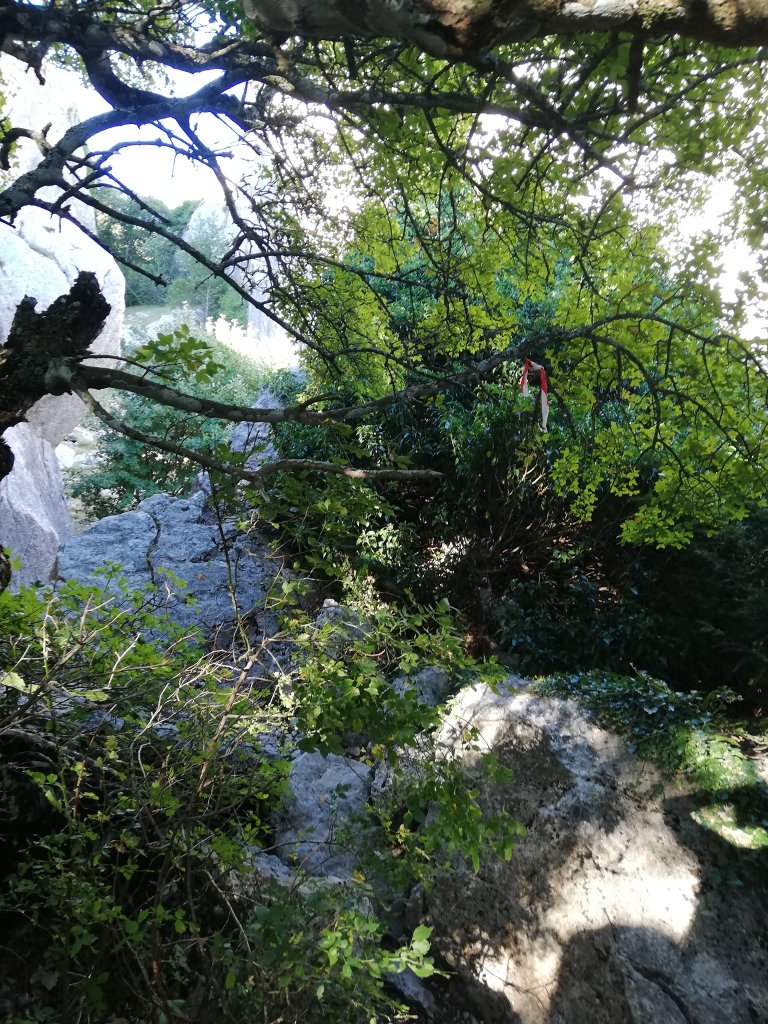 Nuage Creation saint-baume