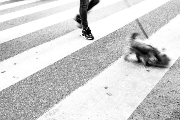 Nuage Creation Aix en Provence