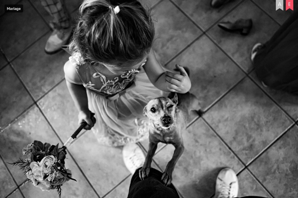 photographe mariage aix en provence