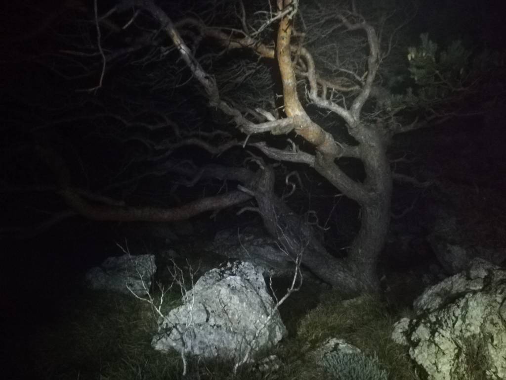 Nuage Creation Photographe mariage aix en provence