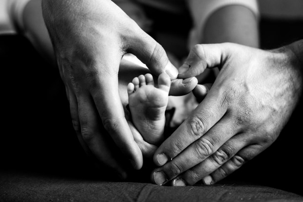 Photographe naissance toulon