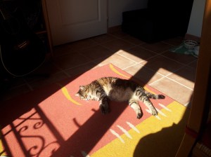 Photographe aix en provence