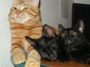 Photographe aix en provence