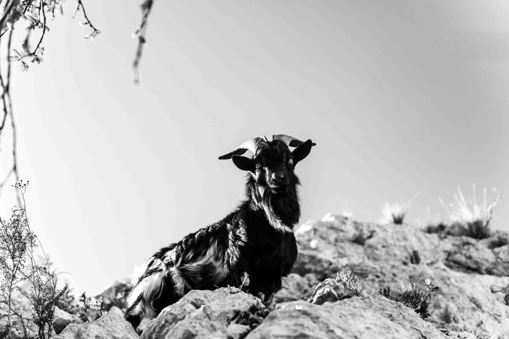 nuage creation
photographe paysage
Sainte-Victoire