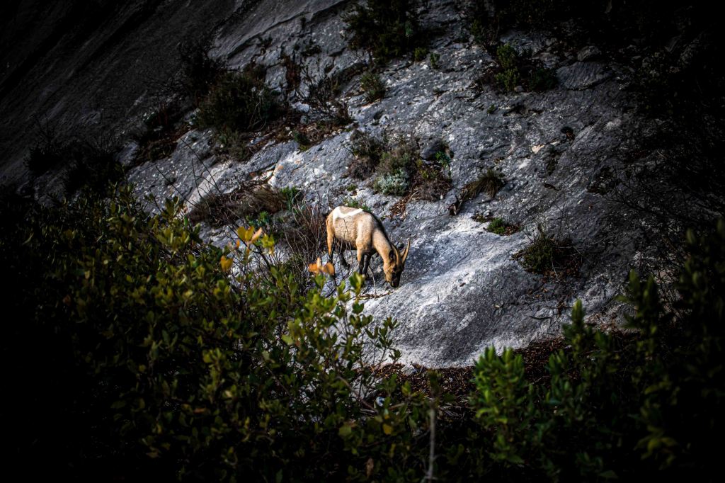 nuage creation
photographe paysage