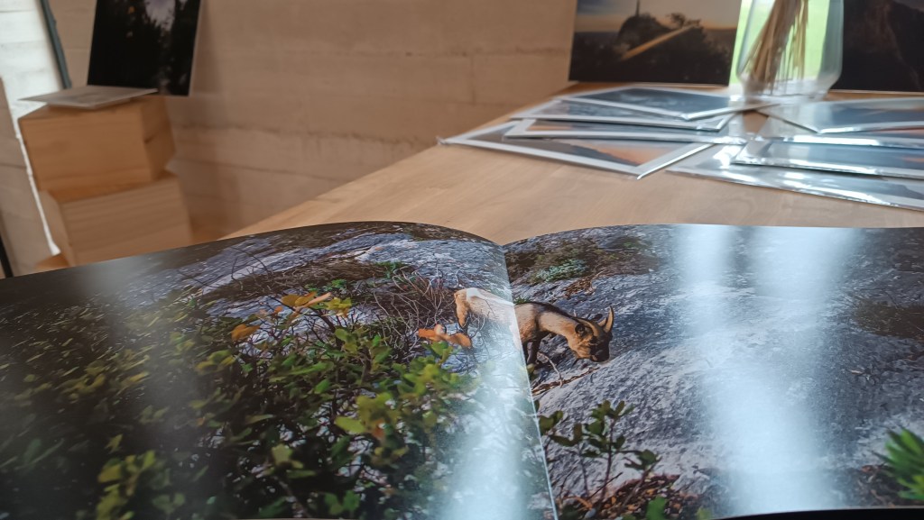 Photos Sainte-Victoire